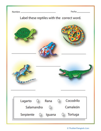 Spanish Reptiles