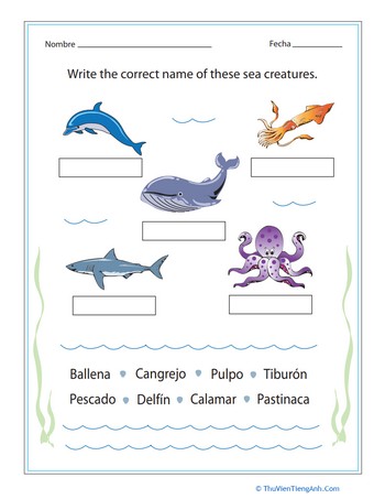 Spanish Sea Creatures