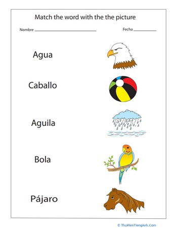 Spanish Vocabulary Grab Bag