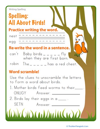 Spring into Spelling: Birds
