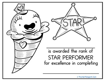 Star Performer Certificate