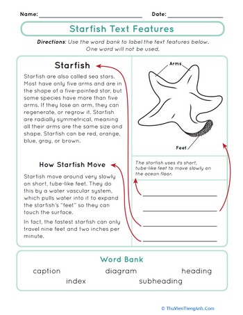 Starfish Text Features