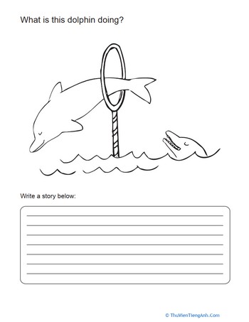 Dolphin Story Starters