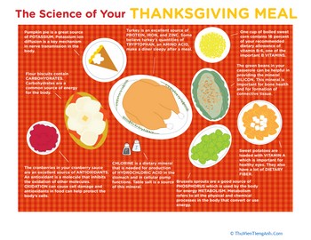 Thanksgiving Science