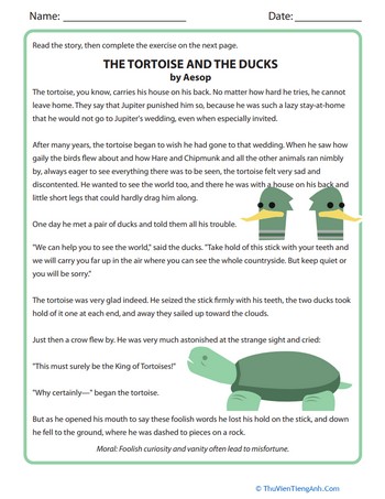 The Tortoise and the Ducks