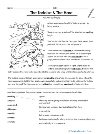 The Tortoise and the Hare: Vocabulary