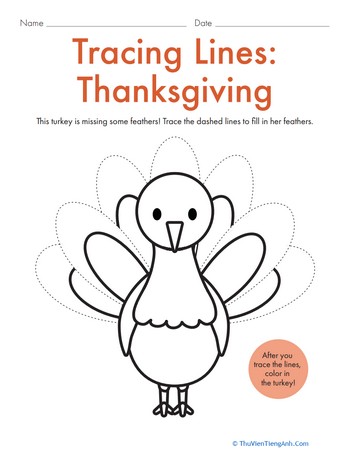Tracing Lines: Thanksgiving