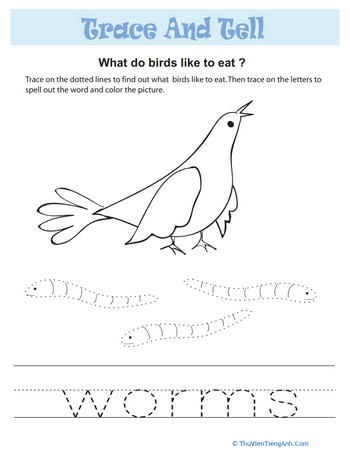 Tracing Sight Words: Worms