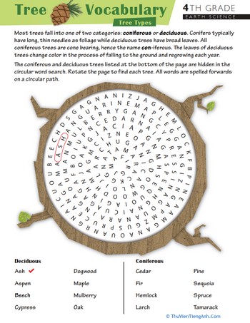 Take on Tree Terms: Word Search #1