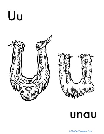 U for Unau