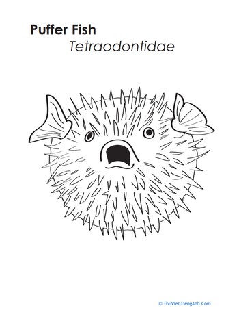 Unique Puffer Fish Coloring Page