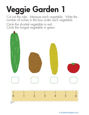 Measuring Length: Veggies