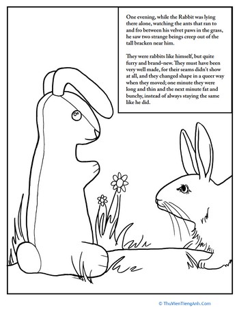 The Velveteen Rabbit: Part 2