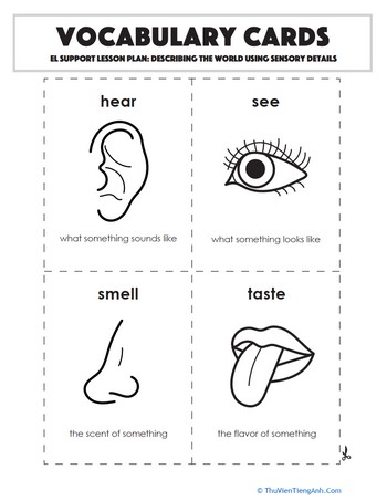 Vocabulary Cards: Describing the World Using Sensory Language