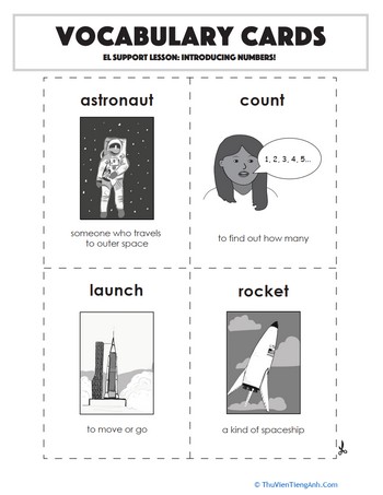 Vocabulary Cards: Introducing Numbers!