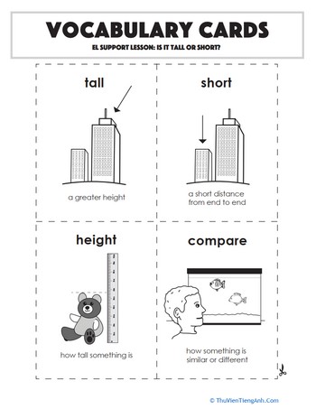 Vocabulary Cards: Is It Tall or Short?