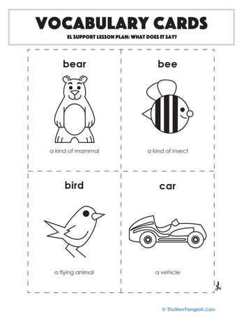 Vocabulary Cards: What Does It Say?