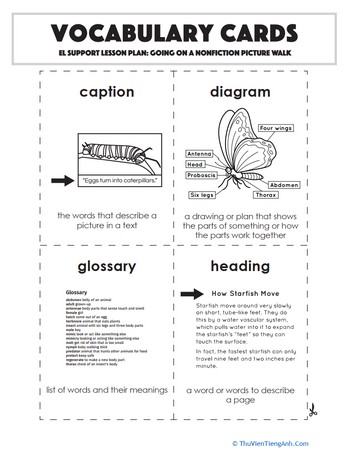 Vocabulary Cards: Going on a Nonfiction Picture Walk
