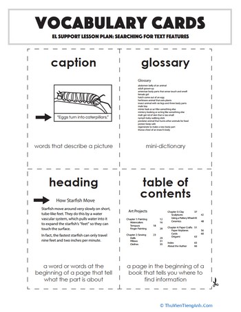 Vocabulary Cards: Searching for Text Features