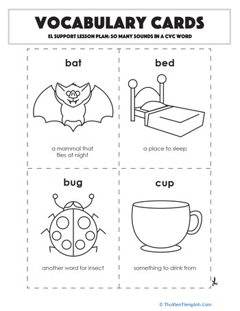 Vocabulary Cards: So Many Sounds in a CVC Word