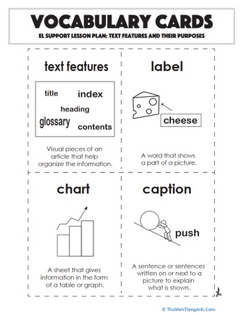 Vocabulary Cards: Text Features and Their Purposes