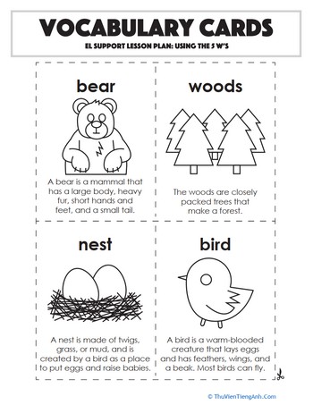 Vocabulary Cards: Using the 5 W’s