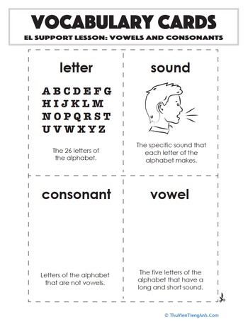 Vocabulary Cards: Vowels and Consonants
