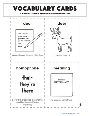 Vocabulary Cards: Words that Sound the Same