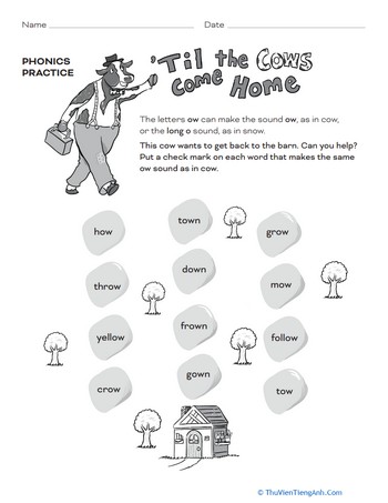 ‘Til the Cows Come Home: Phonics Practice