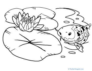Water Lily Coloring Page