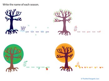 What Are the Seasons?