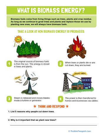What is Biomass Energy
