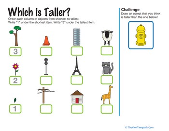 Which is Taller?