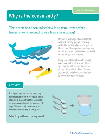 Why is the Ocean Salty?