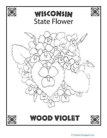 Wisconsin State Flower