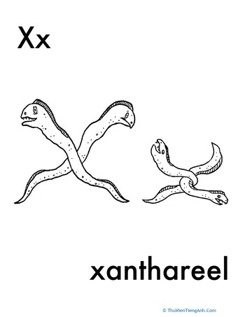 X for Xanthareel
