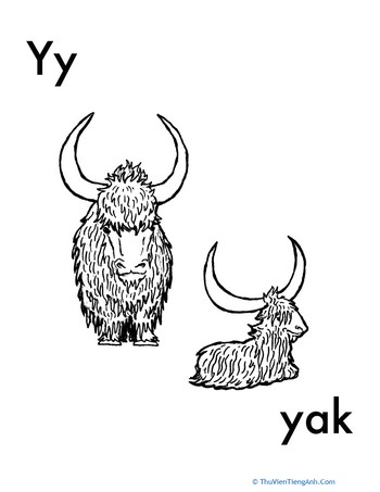 Y for Yak