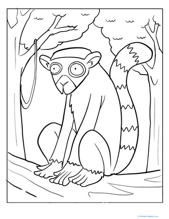Ring Tailed Lemur Coloring Page